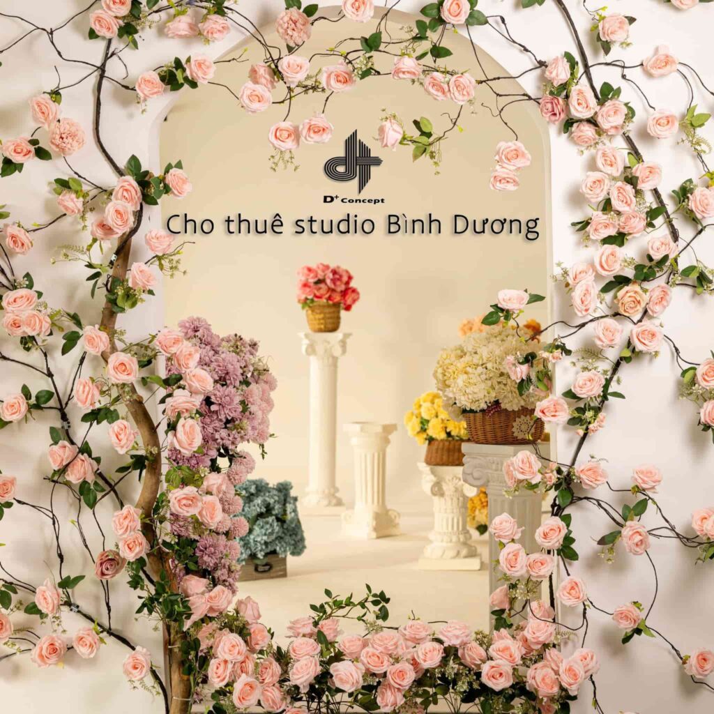 DỊCH VỤ CHO THUÊ STUDIO ĐA DẠNG CONCEPT TẠI BÌNH DƯƠNG | D+ CONCEPT