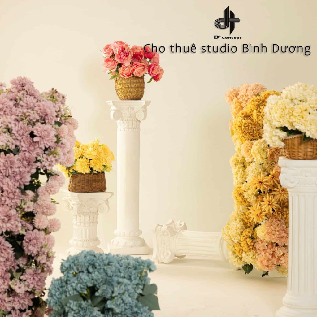 DỊCH VỤ CHO THUÊ STUDIO ĐA DẠNG CONCEPT TẠI BÌNH DƯƠNG | D+ CONCEPT